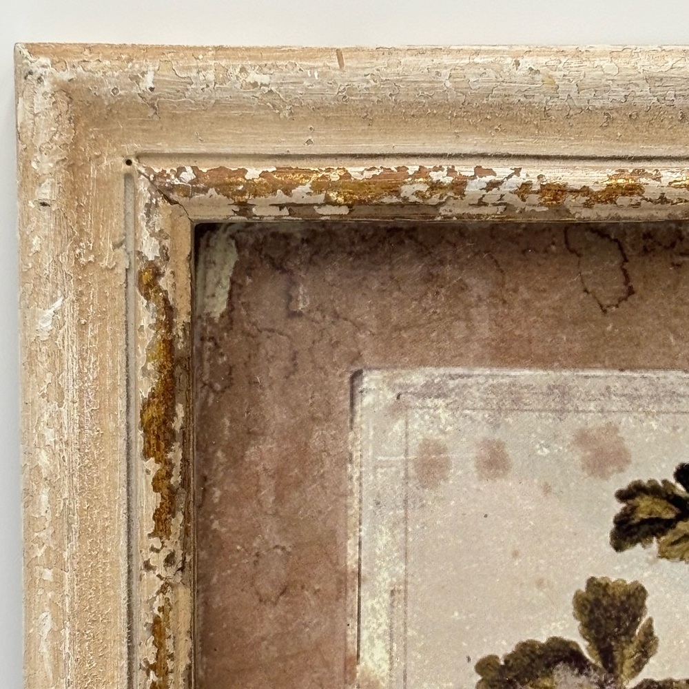 Williamsburg Creative Co-op Framed Floral Art Print 10x13 Rustic Cottagecore - Picture 6 of 10